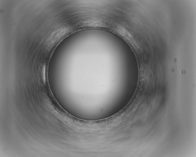 X0000089400014200706151238