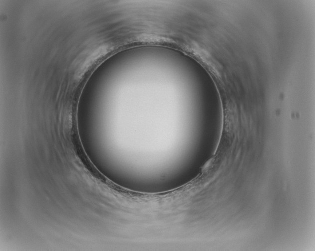 X0000089400015200706151238