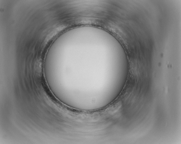 X0000089400016200706151238