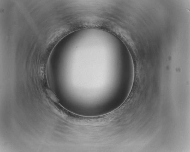 X0000089400017200706151238