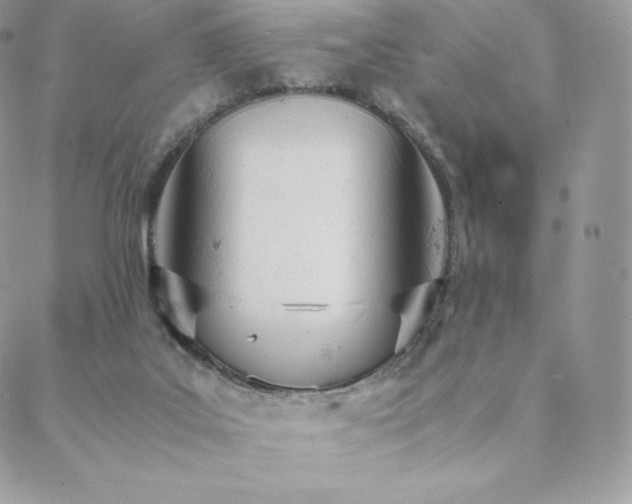 X0000089400019200706151238