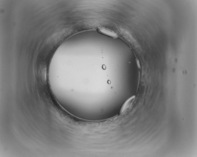 X0000089400021200706151238