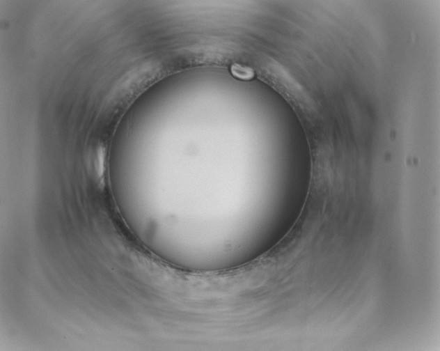 X0000089400022200706151238