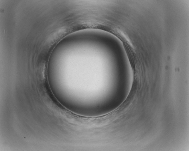 X0000089400023200706151238