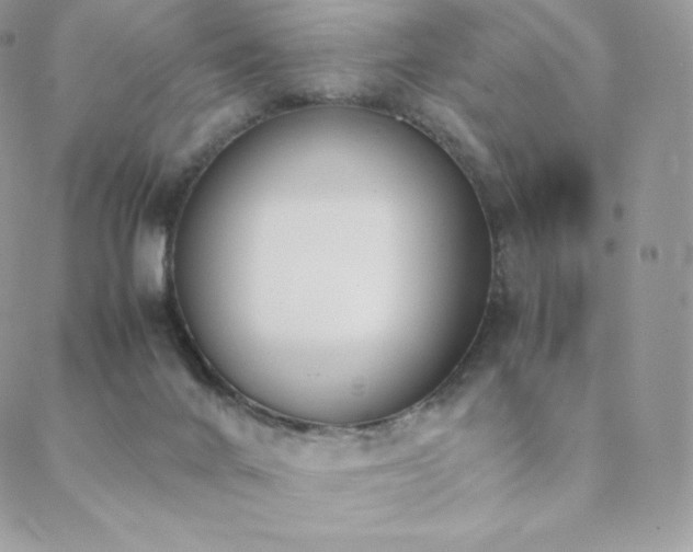 X0000089400024200706151238