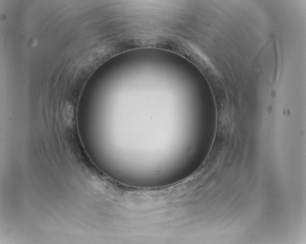 X0000089400025200706151238