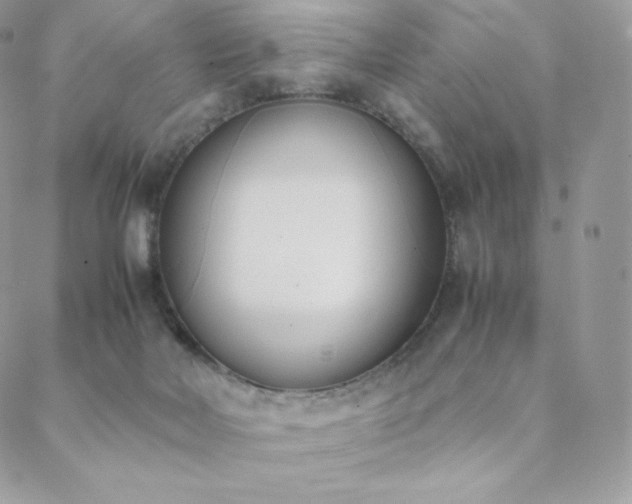 X0000089400026200706151238