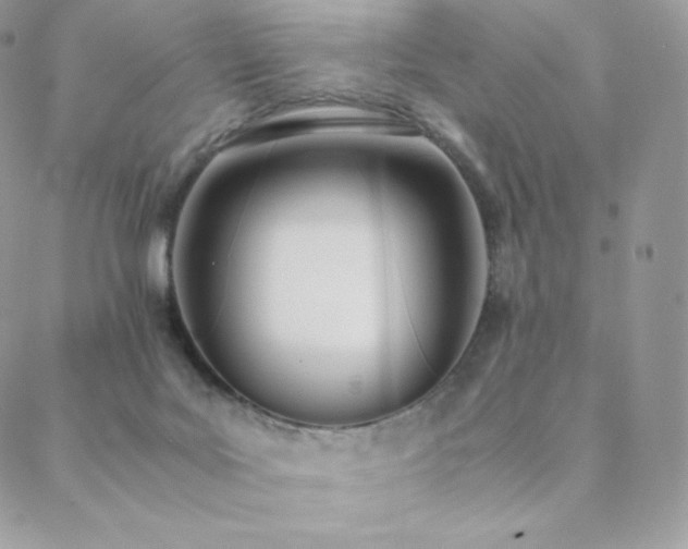 X0000089400027200706151238