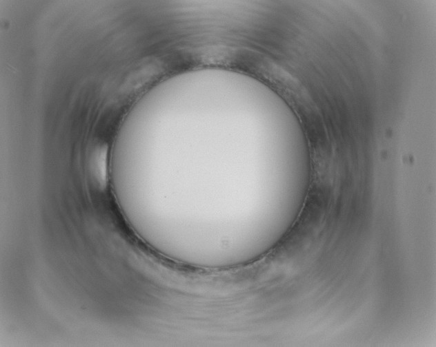 X0000089400028200706151238