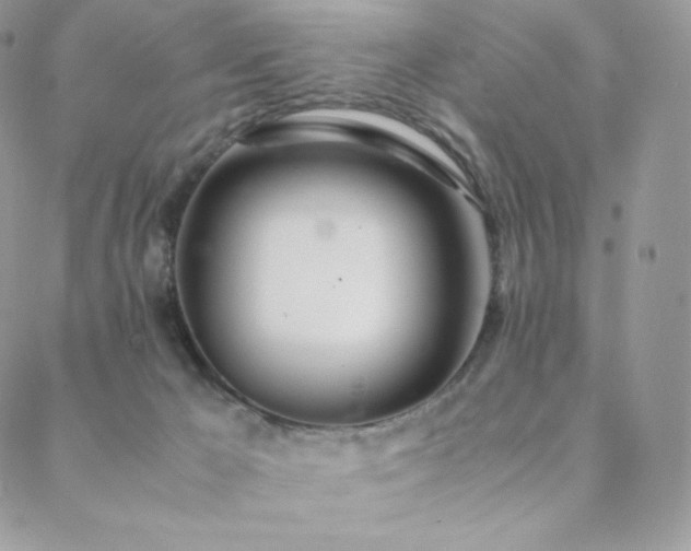 X0000089400029200706151238