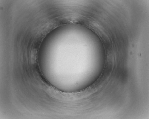 X0000089400030200706151238