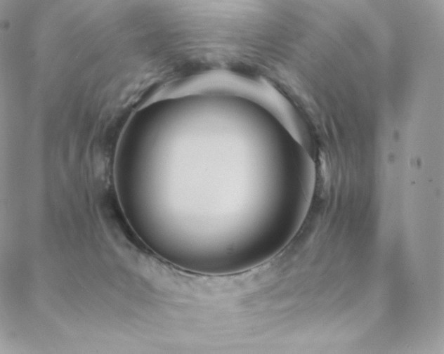 X0000089400031200706151238