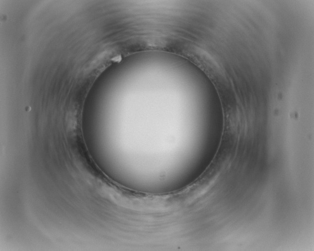 X0000089400032200706151238