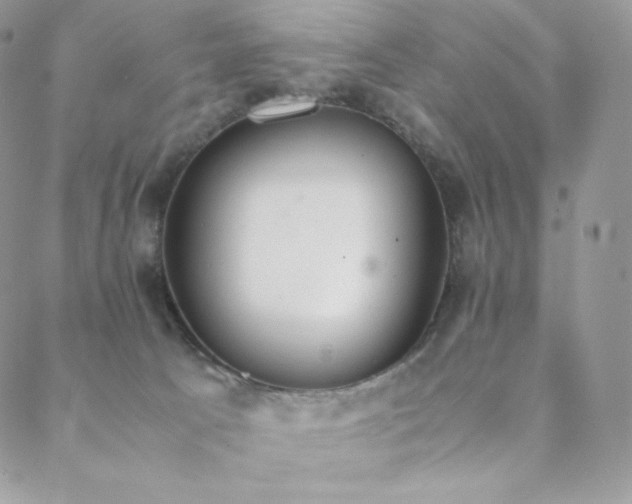 X0000089400033200706151238