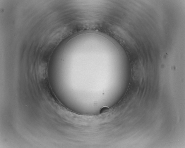 X0000089400034200706151238