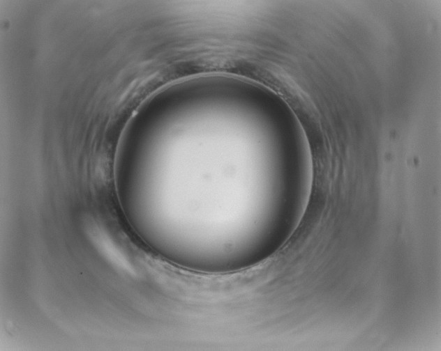 X0000089400035200706151238