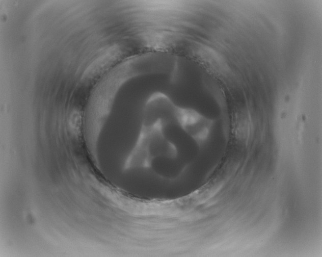 X0000089400036200706151238