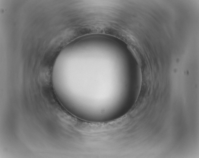 X0000089400037200706151238