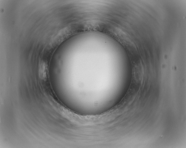 X0000089400038200706151238