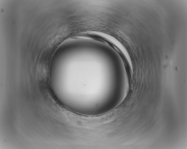 X0000089400039200706151238