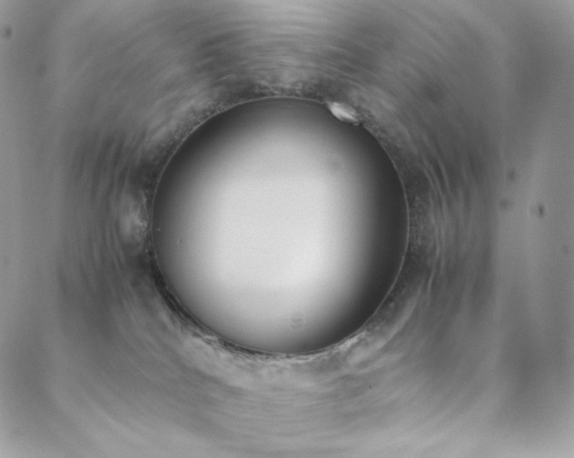 X0000089400040200706151238