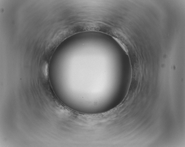 X0000089400041200706151238