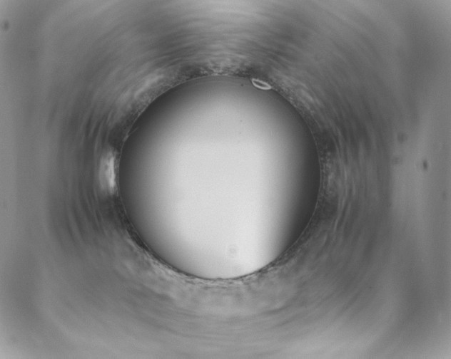 X0000089400042200706151238