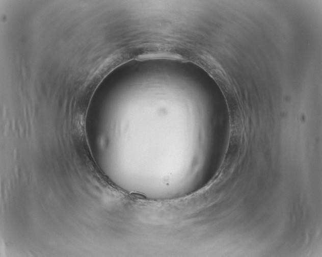 X0000089400045200706151238