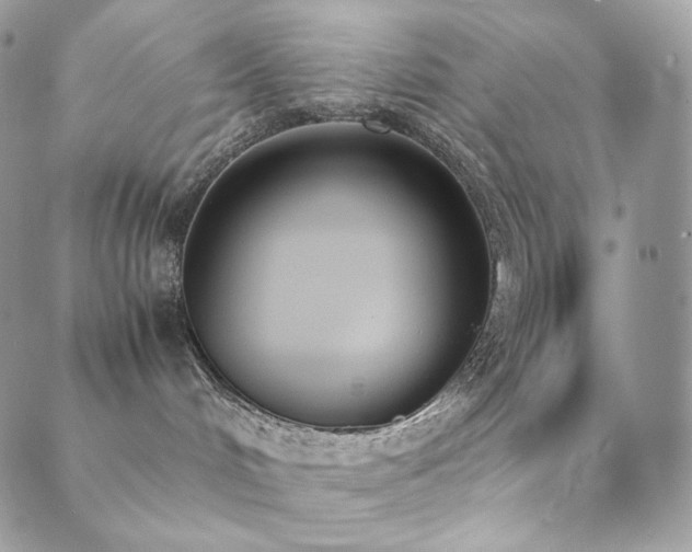 X0000089400048200706151237