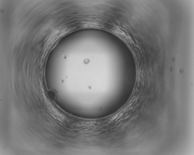 X0000089400049200706151237