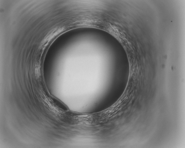 X0000089400050200706151237