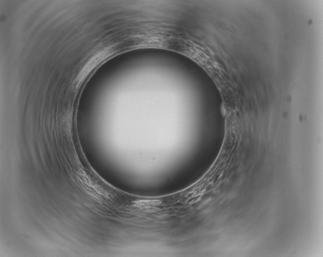 X0000089400051200706151237