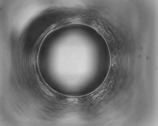 X0000089400052200706151237