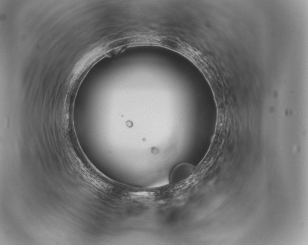 X0000089400053200706151237