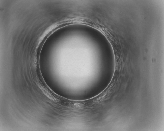 X0000089400056200706151237