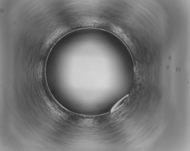 X0000089400058200706151237