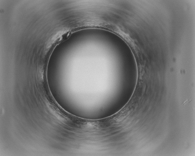 X0000089400060200706151237