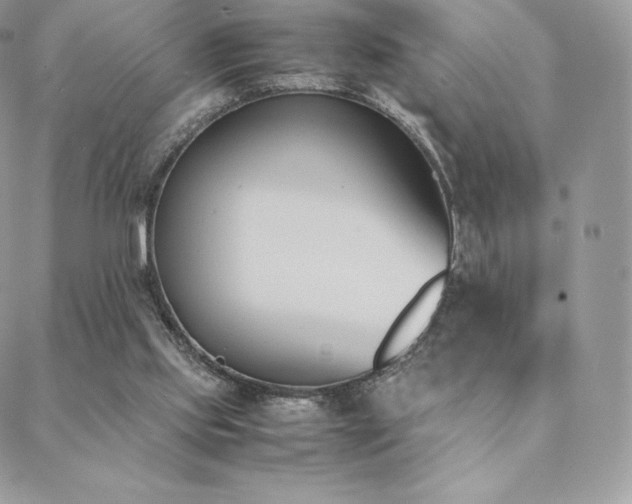 X0000089400061200706151237