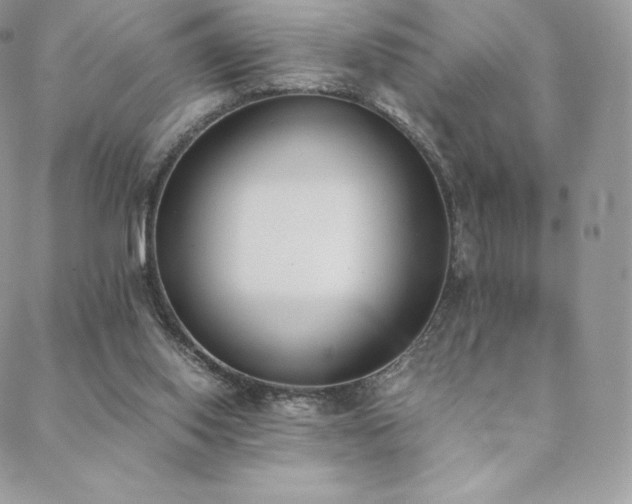 X0000089400062200706151237