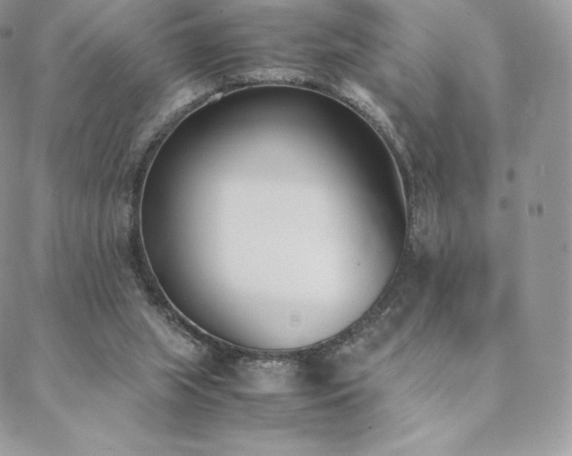 X0000089400063200706151237