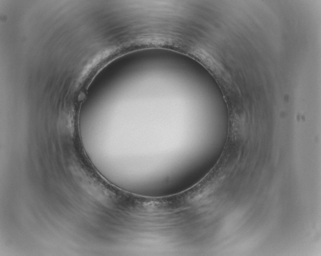 X0000089400064200706151237