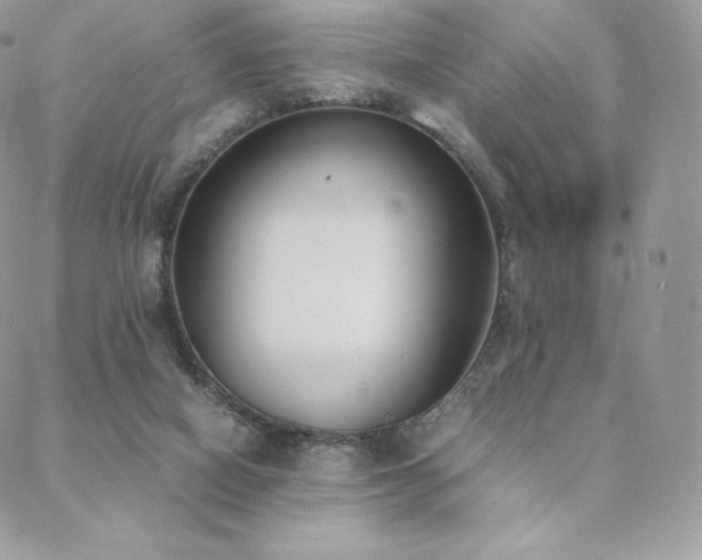 X0000089400066200706151237