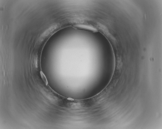 X0000089400068200706151237