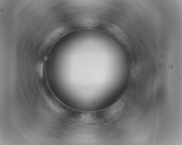 X0000089400070200706151237