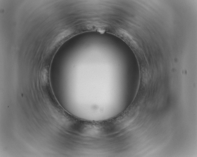 X0000089400071200706151237