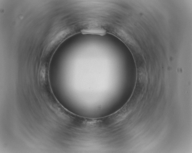 X0000089400072200706151237