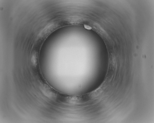 X0000089400074200706151237