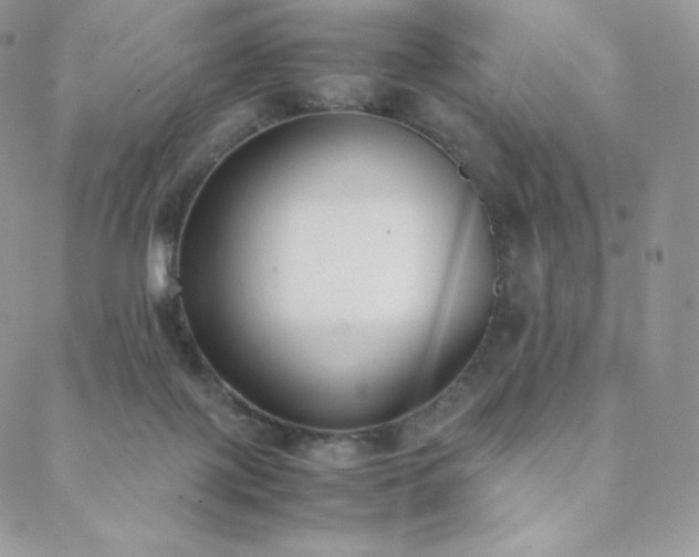 X0000089400075200706151237