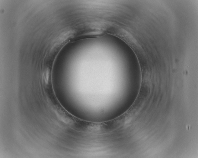 X0000089400076200706151237