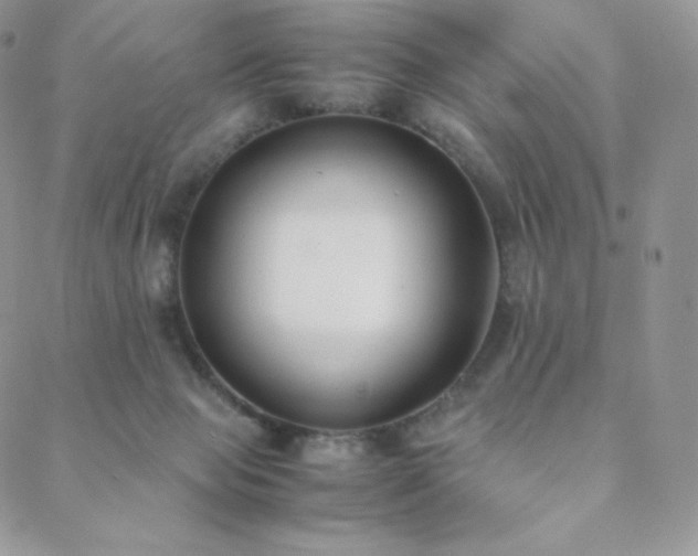 X0000089400077200706151237